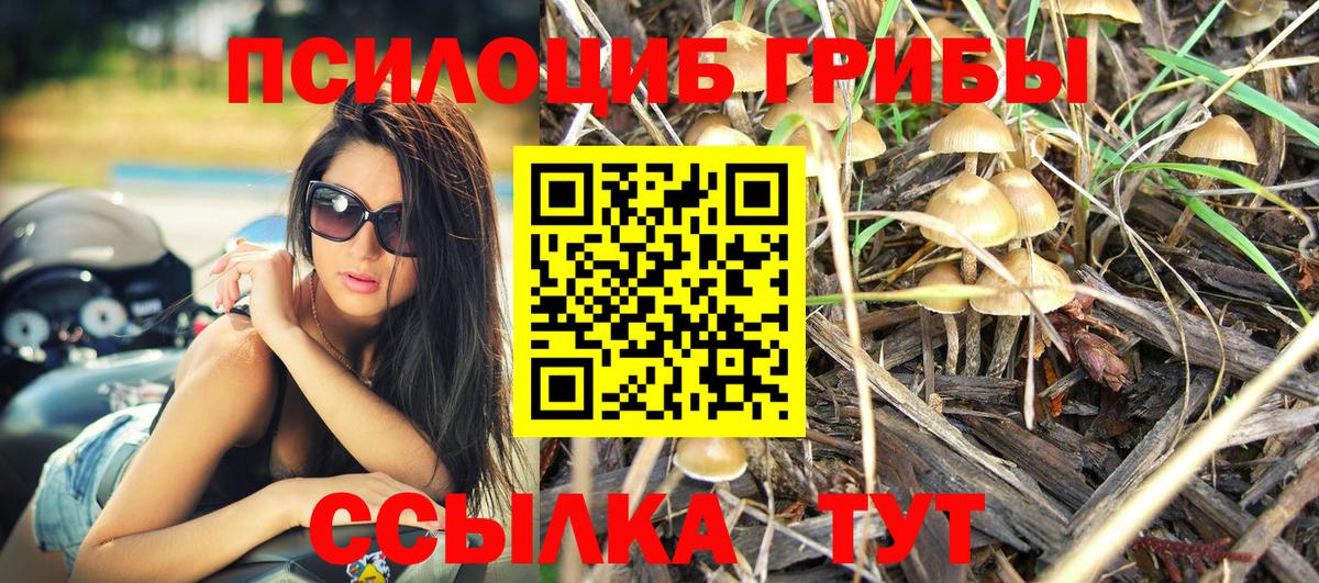 Анапа  Псилоцибиновые грибы ЛСД  Галлюциногенные грибы Psilocybine cubensis  Вход с VPN 